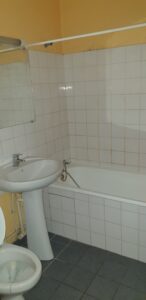 T1bis _ la salle de bain _ AVANT